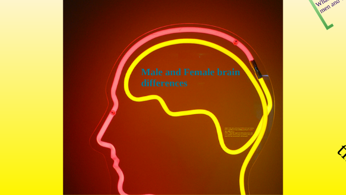 Psychology Male and Female brain differences by Nezaket Özgirin on Prezi