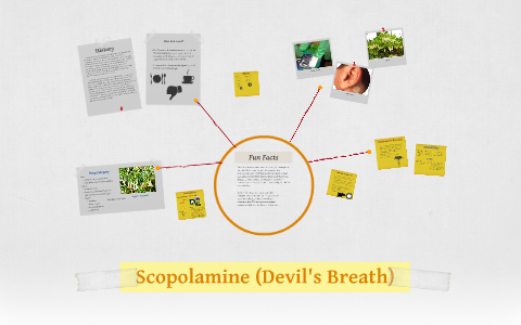 Scopolamine (Devil's Breath) by Svetlana Pimentel on Prezi