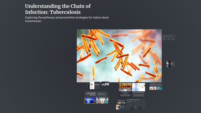 Understanding the Chain of Infection: Tuberculosis by dimmiy on Prezi