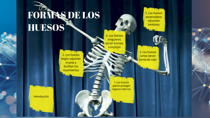 tipos de huesos irregulares