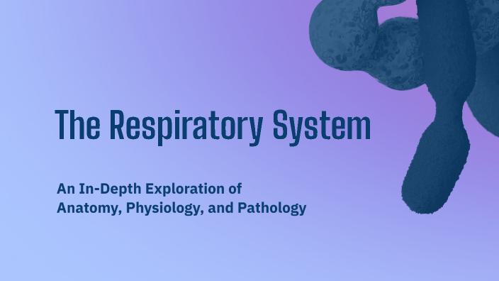 The Respiratory System by رهام الصاعدي on Prezi