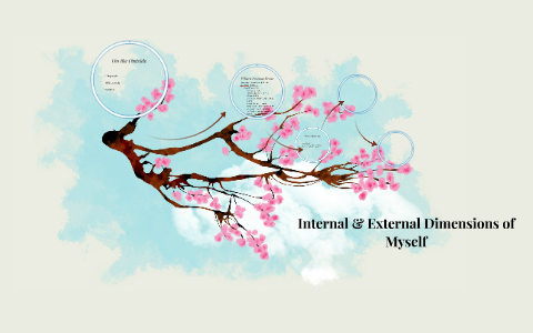Internal & External Dimensions of Myself by Brandy Heavrin on Prezi