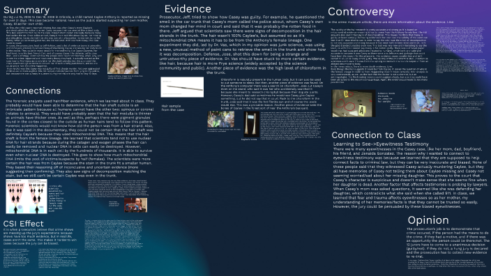 Casey Case by Madelyn Nguyen on Prezi