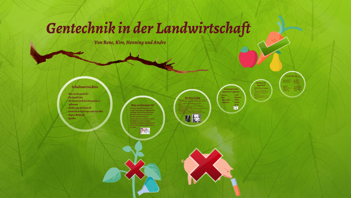 Gentechnik in der Landwirtschaft by rene hilbig on Prezi