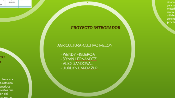 proyecto Integrador by Alex Navas on Prezi