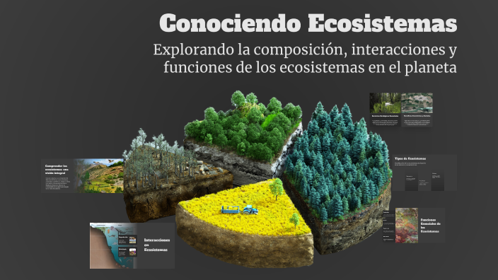 Conociendo Ecosistemas by Angel Steven granados hernandez on Prezi