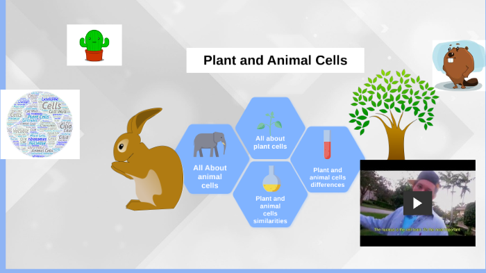 Plants and Animals Cells Project by Isabella Mester on Prezi