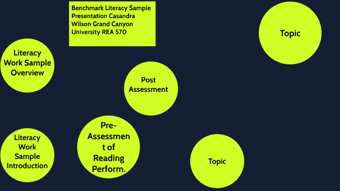 REA 570 BENCHMARK LITERACY WORK SAMPLE PRESENTATION CASANDRA WILSON ...