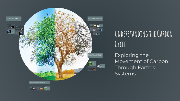 Understanding the Carbon Cycle by Joseph Halim on Prezi