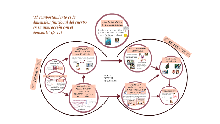 Modelo psicológico de la salud biológica by Psic. Nadia Rodríguez Ortiz on  Prezi Next