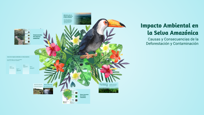 Impacto Ambiental en la Selva Amazónica by Rubi Flores gaons on Prezi