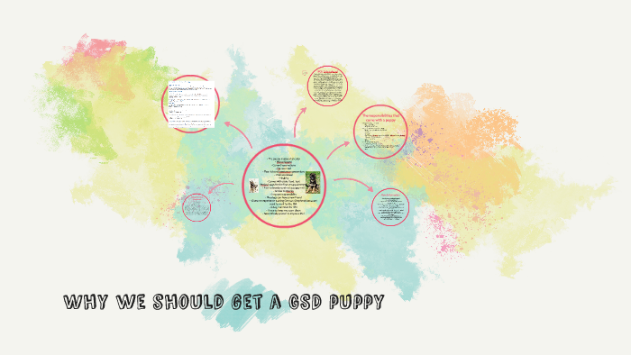 Why we should get a gsd puppy by Peyton Mann on Prezi