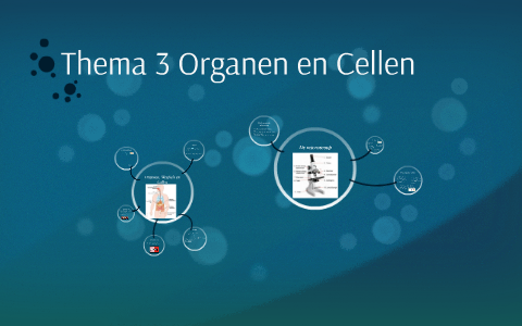 Thema 3 Organen en Cellen by Gerbert Schippers on Prezi