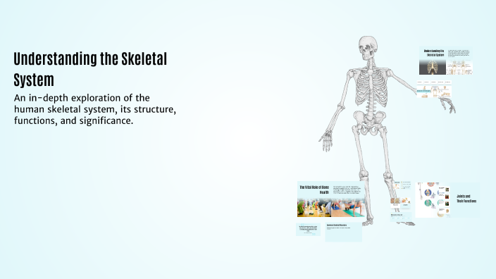 Understanding the Skeletal System by Hajar R.Salih on Prezi