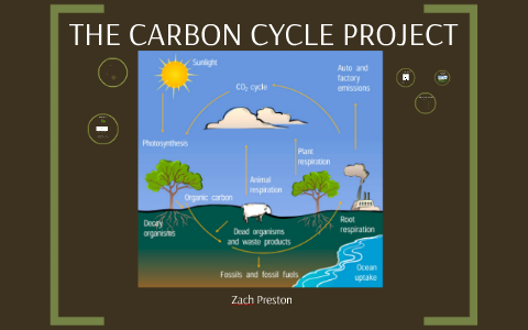 Carbon Cycle by Zach Preston on Prezi