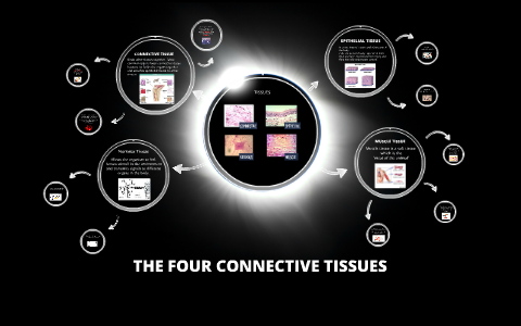 The Four types of tissue by Eli Davis on Prezi