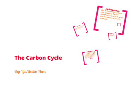 The Carbon Cycle by Lila Grace on Prezi