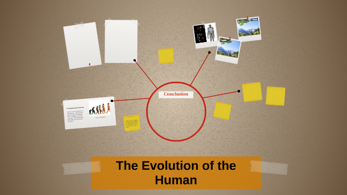 The Evolution of the Llama by Virginia Crossland