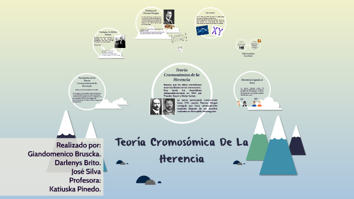 Teoría Cromosómica De La Herencia By Darle Brito On Prezi