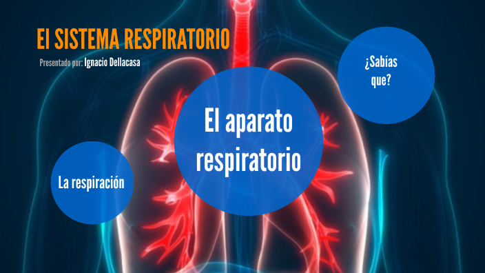 El sistema respiratorio by Ignacio Dellacasa on Prezi Next