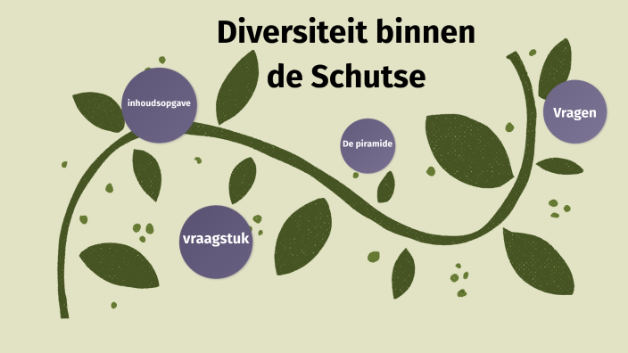 Examen Diversiteit By Janelle Van Ommeren On Prezi