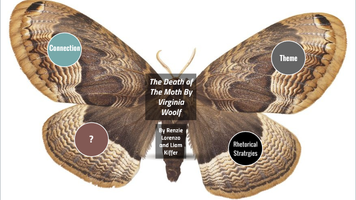 the death of the moth analysis
