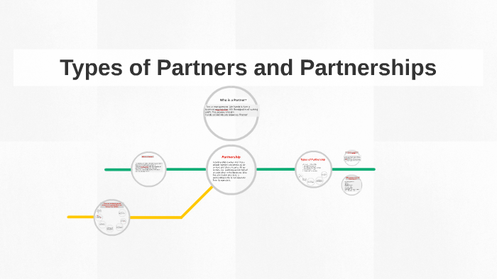 essay on types of partners