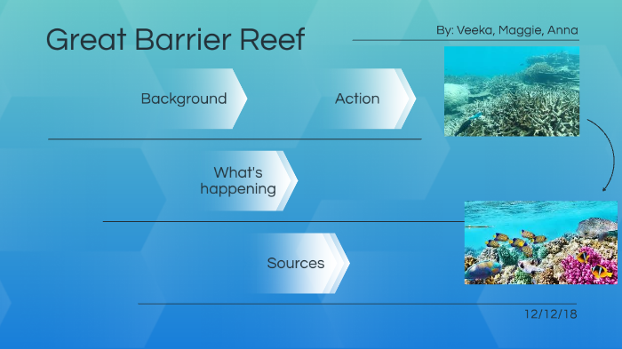 great barrier reef by Veeka Malanchuk on Prezi