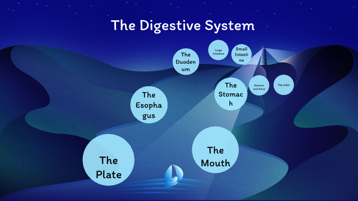 Digestive System by Bryant Mansfield on Prezi