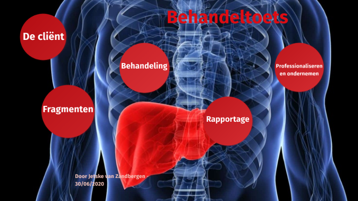 Diagnosetoets by Jetske van Zandbergen on Prezi