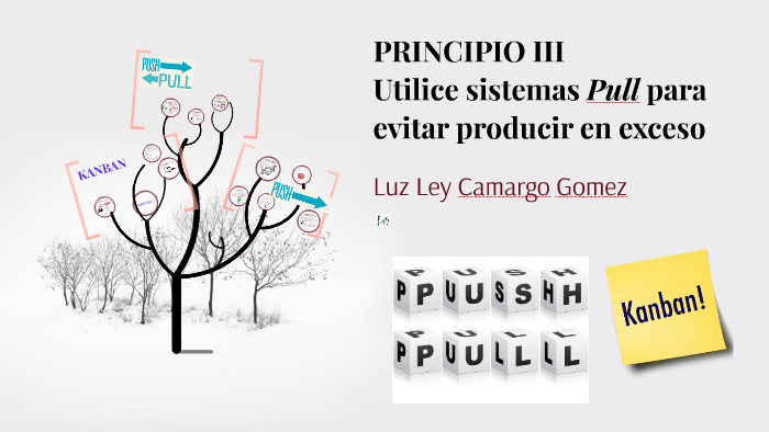 Sistemas Push Y Pull By Luz Ley Camargo Gomez 0621