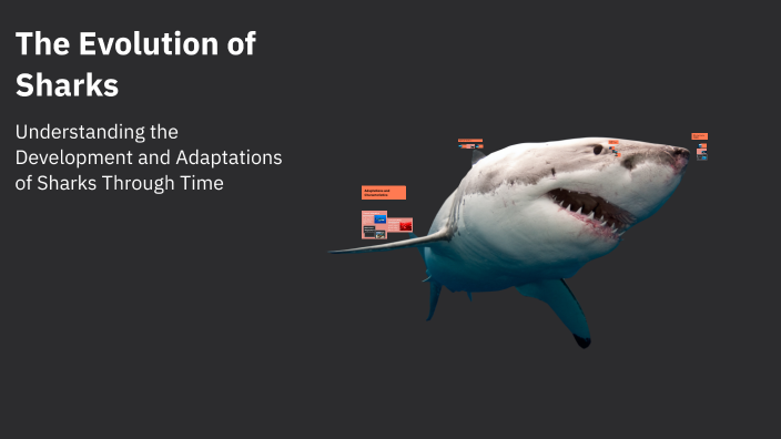 The Evolution of Sharks by Andrew Prevatte on Prezi