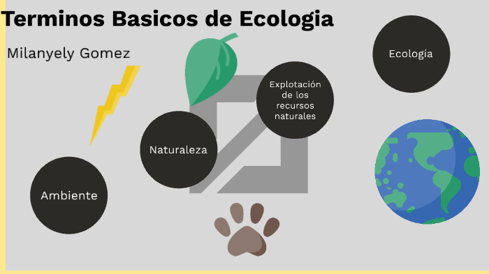 Conceptos Basicos De Ecologia By Ruben Yaguas On Prezi