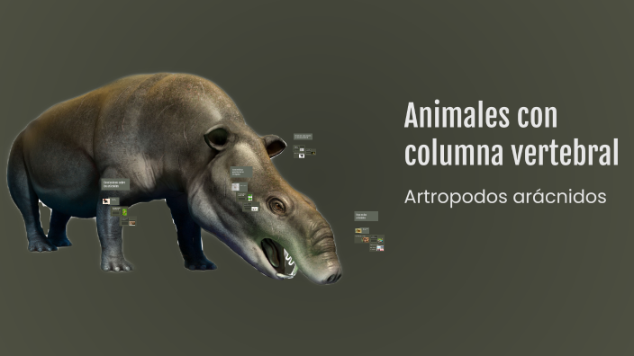Animales con columna vertebral by Sara Zapata on Prezi
