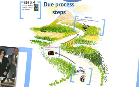 Due process flow chart by Laura Loftness