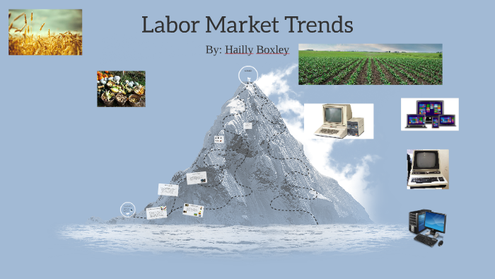 labor-market-trends-by-hailly-boxley