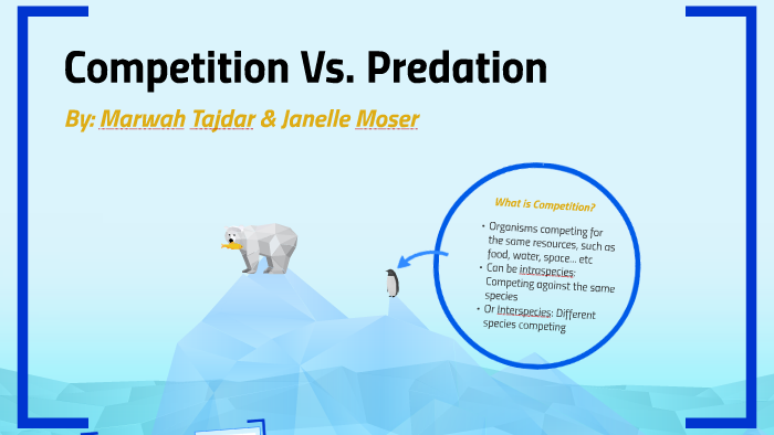 Competition Vs. Predation by marwah Tajdar on Prezi