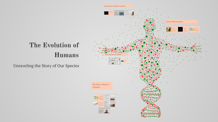 The Evolution of Humans by Carlos N on Prezi