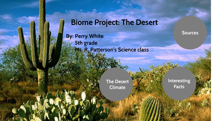 desert biome cactus