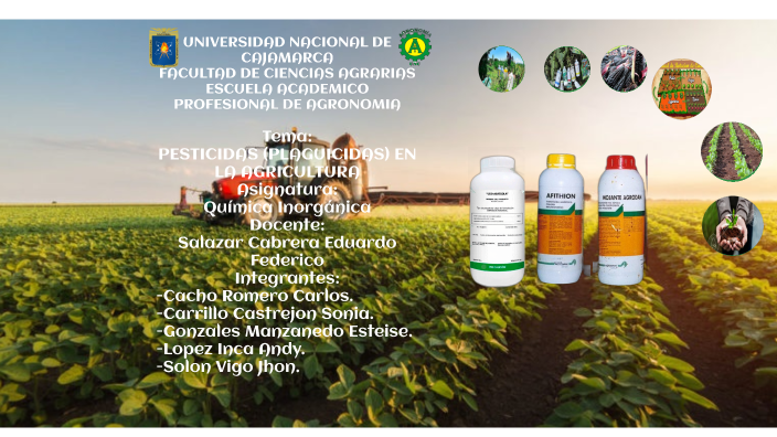 Pesticidas Plaguicidas En La Agricultura By Carlos Cacho Romero On Prezi