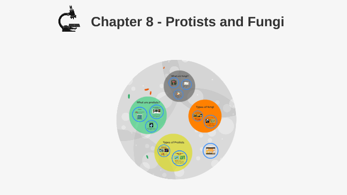 Chapter 8 - Protists and Fungi by Lance Oster on Prezi