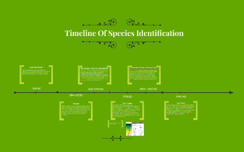 Timeline Of Species Identification By Sean Scully On Prezi