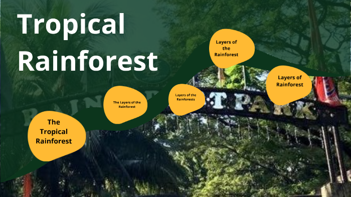 Interactions Among Living Things And Nonliving Things In Tropical 