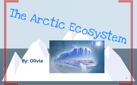 The Arctic Ecosystem by Olivia Harding on Prezi