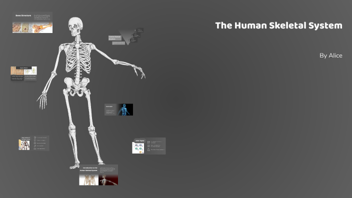 Understanding the Human Skeletal System by Alice Eldose on Prezi