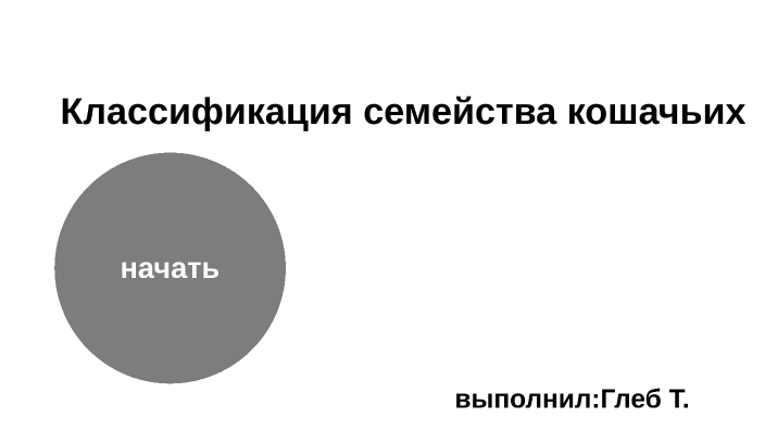 классификация семейства кошачьих by Глеб Тихомир