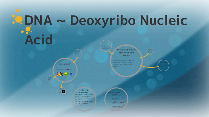 DNA Presentation by Long Nguyen on Prezi