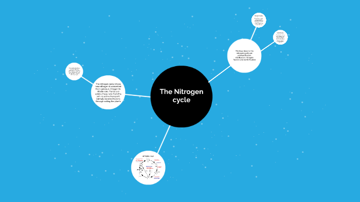 The Nitrogen cycle by Tyler Jackson on Prezi
