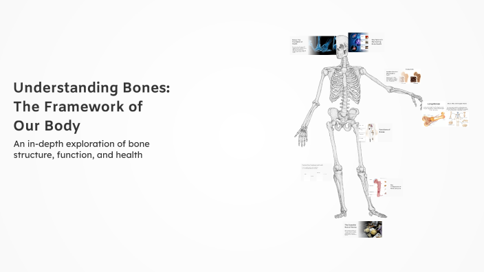 Understanding Bones: The Framework of Our Body by Fady Tharwat on Prezi