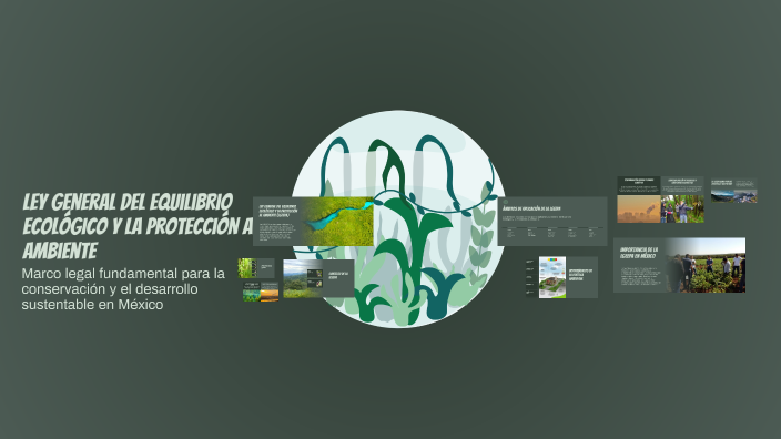 Ley General Del Equilibrio Ecológico Y La Protección Al Ambiente